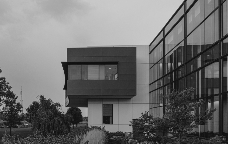 Offline Real Estate Leads-Mint&Co.