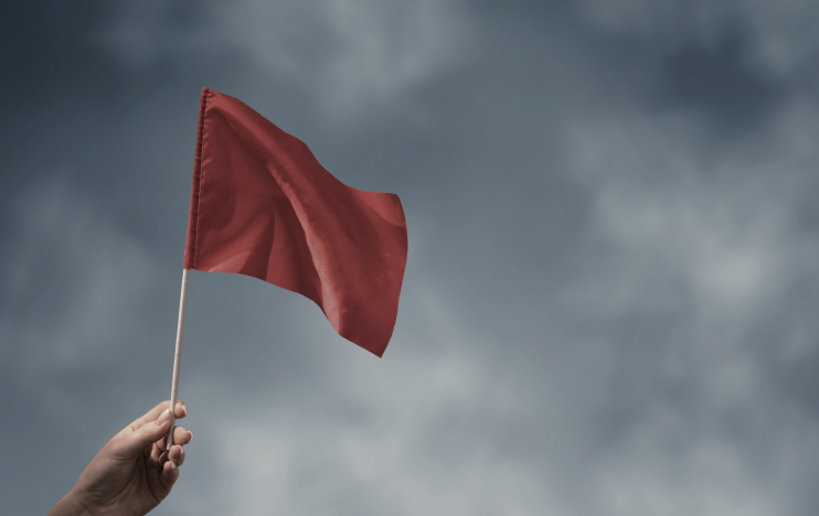 Bold Lead Generation Success- Mint&Co.