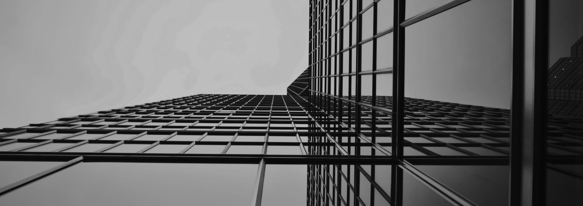 Real Estate Branding Agency | Mint & Co.