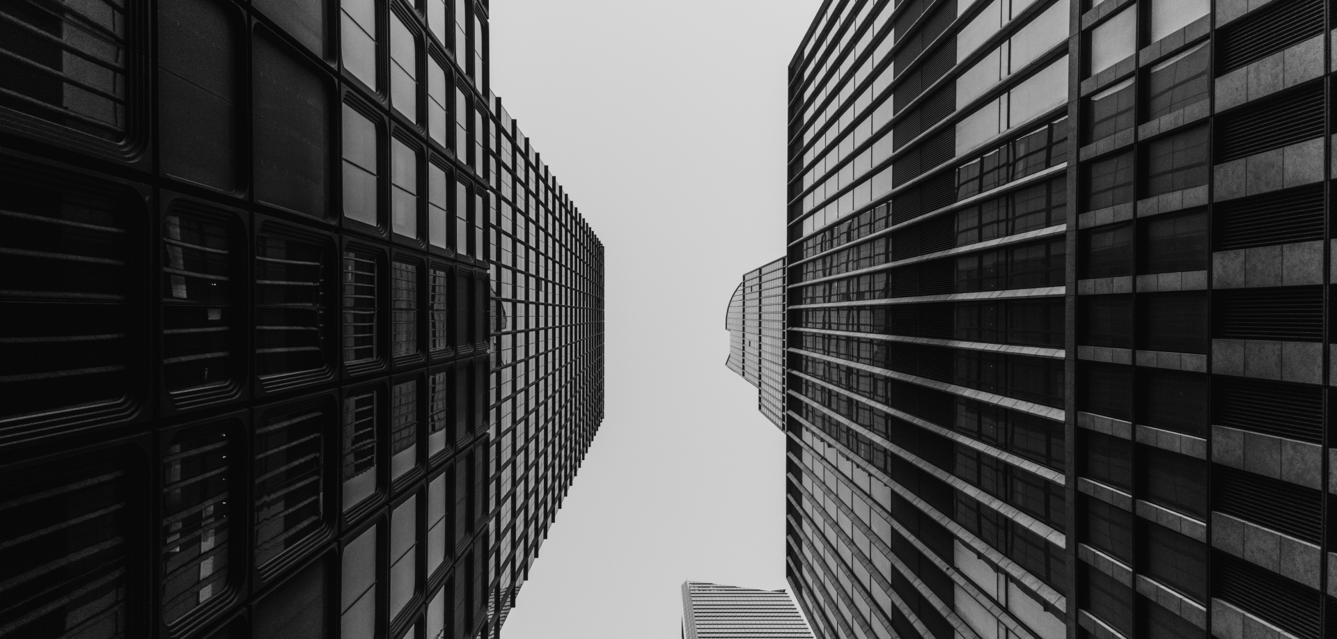 Luxury Marketing Agency -Mint&Co.