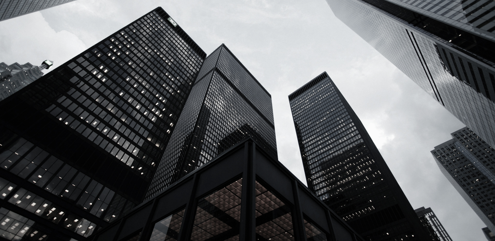 Marketing Agency - Mint&Co.